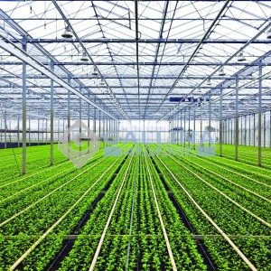 alt_1Gallina Eurasia - Polikarbon Levha|Polikarbonat Işıklık|Çatı & Cephe Panel